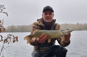 Northern Pike