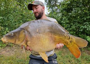 Mirror Carp