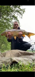 Mirror Carp