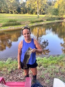 Largemouth Bass