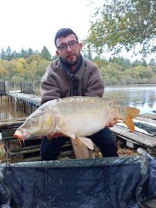 Mirror Carp