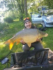 Mirror Carp