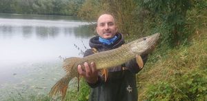 Northern Pike