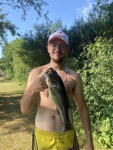 Smallmouth Bass