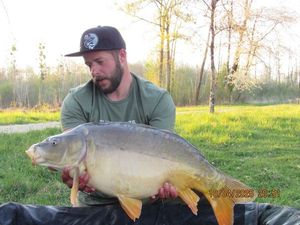 Mirror Carp