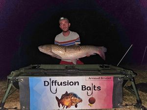 Grass Carp