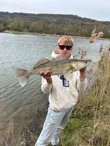 Zander