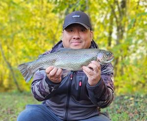 Rainbow Trout
