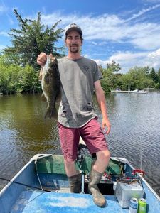 Smallmouth Bass