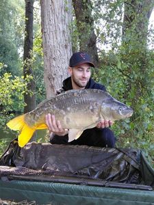 Leather Carp