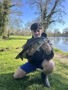 Largemouth Bass