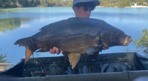 Mirror Carp