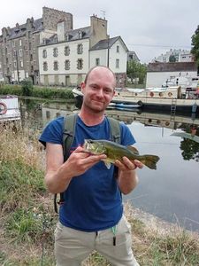 Largemouth Bass