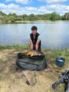 Mirror Carp