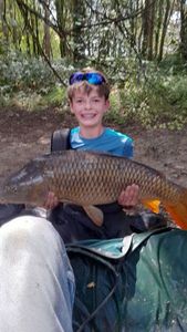 Common Carp