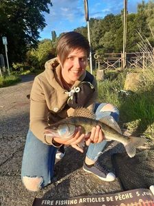 Zander