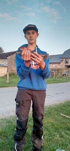 Truite