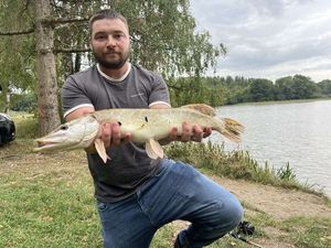 Northern Pike