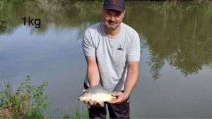 Mirror Carp