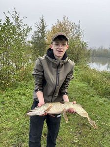 Northern Pike