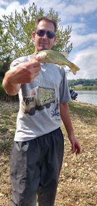 Largemouth Bass