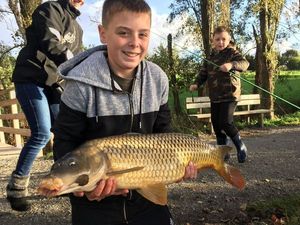 Common Carp