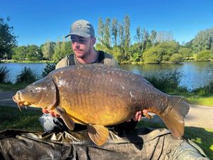 Mirror Carp