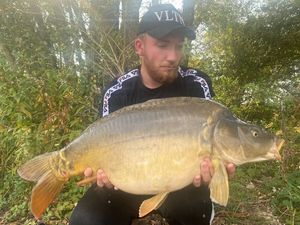 Mirror Carp