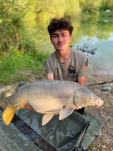 Mirror Carp