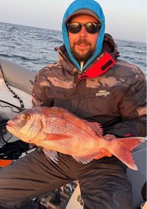 Red Porgy