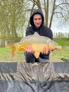 Leather Carp