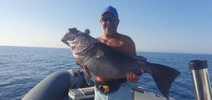 Wreckfish