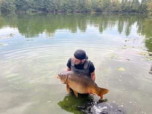 Mirror Carp