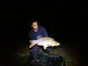 Common Carp
