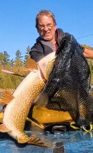 Northern Pike