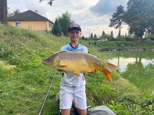 Mirror Carp