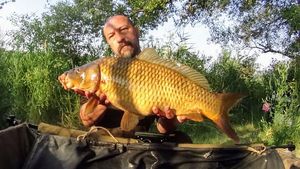 Common Carp