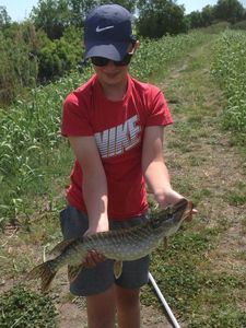 Northern Pike