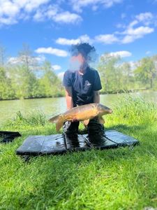 Mirror Carp