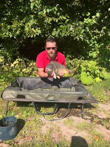 Mirror Carp