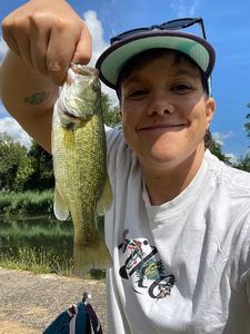 Largemouth Bass