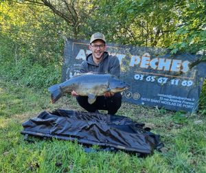 Mirror Carp