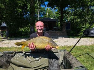 Common Carp