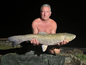 Grass Carp