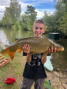 Common Carp