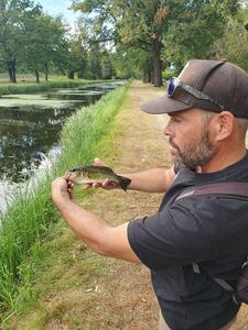 Largemouth Bass