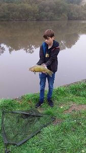 Tench