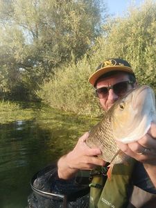 Chub