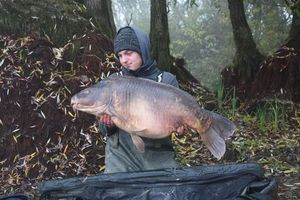 Mirror Carp