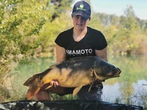 Mirror Carp
